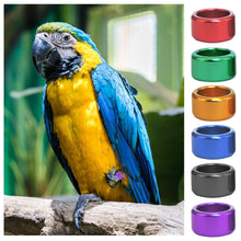 Load image into Gallery viewer, 10Pcs Pigeons Foot Ring 6 Colors 8x6mm Pigeons Foot Ring Parrots Leg Rings Birds Training Tool

