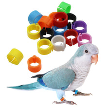 Load image into Gallery viewer, 100Pcs Pigeons Foot Ring 8/10x7mm Bird Foot Ring Outdoor Flight Training Tool Plastic Clip Ring Pigeon Dove Quail Foot Ring Competition Identification Label
