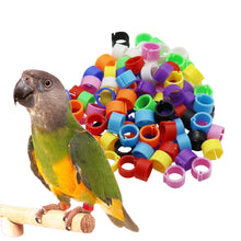 Load image into Gallery viewer, 100Pcs Pigeons Foot Ring 8/10x7mm Bird Foot Ring Outdoor Flight Training Tool Plastic Clip Ring Pigeon Dove Quail Foot Ring Competition Identification Label
