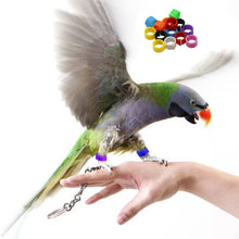 Load image into Gallery viewer, 100Pcs Pigeons Foot Ring 8/10x7mm Bird Foot Ring Outdoor Flight Training Tool Plastic Clip Ring Pigeon Dove Quail Foot Ring Competition Identification Label
