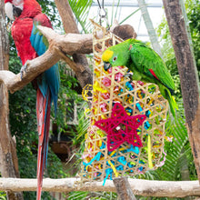 Load image into Gallery viewer, Bamboo Weaving Parrots Toys Hanging Parrot Chew Toy Bird Cage Decoration Bird Supplies Bird Training Accessories
