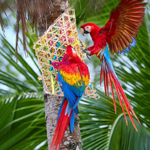 Load image into Gallery viewer, Bamboo Weaving Parrots Toys Hanging Parrot Chew Toy Bird Cage Decoration Bird Supplies Bird Training Accessories
