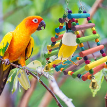 Load image into Gallery viewer, Natural Wooden Parrots Swing Toy Birds Parakeet Perch Hanging Swings Cage With Colorful Beads Bells Toys Parrot Cage Decoration Bird Supplies
