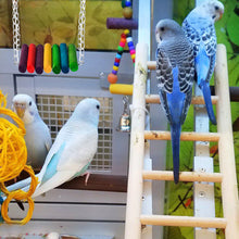 Load image into Gallery viewer, Natural Wooden Parrots Swing Toy Birds Parakeet Perch Hanging Swings Cage With Colorful Beads Bells Toys Parrot Cage Decoration Bird Supplies
