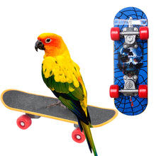 Load image into Gallery viewer, 1Pc Bird Parrot Intelligence Toys Mini Training Skateboard For Budgies Parakeet Growth Toy Pet Toy Bird Supplies
