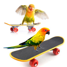 Load image into Gallery viewer, 9Pcs Bird Training Toys Set Parrot Wooden Block Puzzle Toy Stacking Color Ring Skateboard Nuts Bolts Foot Ball Toys Foraging Toy
