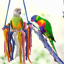 Load image into Gallery viewer, Parrot Swing Toy Chew Creative Color Cotton Rope Parrot Standing Loop Hanging Bird Cage Climbing Toy Pet Accessories
