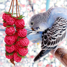 Load image into Gallery viewer, Rattan Balls Parrot Toys Interactive Parrot Chewing Bite Toy Foot Scratching Toy Birds Training Toy for Parakeet Budgie Bird Supplies
