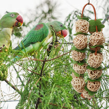 Load image into Gallery viewer, Rattan Balls Parrot Toys Interactive Parrot Chewing Bite Toy Foot Scratching Toy Birds Training Toy for Parakeet Budgie Bird Supplies
