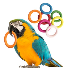 Load image into Gallery viewer, 10Pcs Pet Bird Parrot Intelligence Toys Natural Wooden Ring Parrot Training Toy Chew Bite Toys For Budgies Parakeet Growth Toy Bird Supplies DIY Accessories Home Decoration
