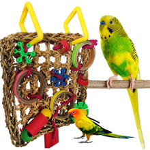 Load image into Gallery viewer, Bird Climbing Net Parrot Toys Woven Seagrass Biting Hanging Hemp Rope Swing Play Ladder Chew Foraging Funny Colorful Parrot Toys
