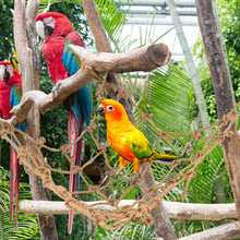 Load image into Gallery viewer, Bird Toys Bird Climbing Net Bird Parrot Cage Toy Swing Hemp Rope Parrot Hanging Rope Net Swing Play Rope Ladder Chew Toy Play Gym Toys
