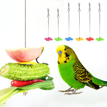 Load image into Gallery viewer, Stainless Steel Bird Food Holder Parrot Fruit Fork Support Parrot Fruit Vegetable Feeder Stick Bird Supplies
