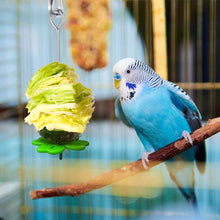 Load image into Gallery viewer, Stainless Steel Bird Food Holder Parrot Fruit Fork Support Parrot Fruit Vegetable Feeder Stick Bird Supplies
