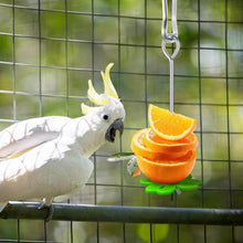 Load image into Gallery viewer, Stainless Steel Bird Food Holder Parrot Fruit Fork Support Parrot Fruit Vegetable Feeder Stick Bird Supplies
