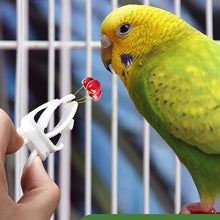 Load image into Gallery viewer, Birds Food Holder Pet Parrot Feeding Clip Cuttlefish Bone Feeder Device Pin Clamp Durable Bird Cage Supplies
