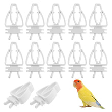 Load image into Gallery viewer, Birds Food Holder Pet Parrot Feeding Clip Cuttlefish Bone Feeder Device Pin Clamp Durable Bird Cage Supplies
