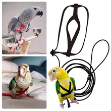 Load image into Gallery viewer, Adjustable Pet Bird Parrot Harness Leash Outdoor Flying Traction Straps Band Anti-Bite Training Rope
