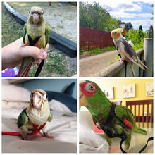 Load image into Gallery viewer, Adjustable Pet Bird Parrot Harness Leash Outdoor Flying Traction Straps Band Anti-Bite Training Rope
