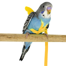 Load image into Gallery viewer, Adjustable Pet Parrot Harness Leash Anti-Bite Outdoor Flying Training Rope for Small Medium Parrot Macaw Cockatiel Budgie Strap Bird Supplies
