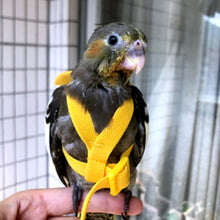 Load image into Gallery viewer, Adjustable Pet Parrot Harness Leash Anti-Bite Outdoor Flying Training Rope for Small Medium Parrot Macaw Cockatiel Budgie Strap Bird Supplies
