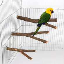 Load image into Gallery viewer, Natural Wood Pet Parrot Raw Wood Fork Branch Perches Stand Rack Mouth Grinding Claw Grinding Stick For Birds Squirrel Small Pet Supplies
