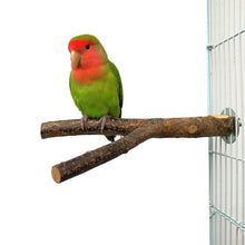 Load image into Gallery viewer, Natural Wood Pet Parrot Raw Wood Fork Branch Perches Stand Rack Mouth Grinding Claw Grinding Stick For Birds Squirrel Small Pet Supplies
