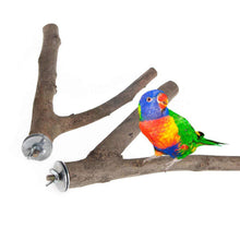 Load image into Gallery viewer, Natural Wood Pet Parrot Raw Wood Fork Branch Perches Stand Rack Mouth Grinding Claw Grinding Stick For Birds Squirrel Small Pet Supplies
