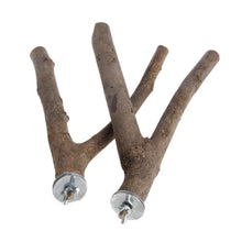 Load image into Gallery viewer, Natural Wood Pet Parrot Raw Wood Fork Branch Perches Stand Rack Mouth Grinding Claw Grinding Stick For Birds Squirrel Small Pet Supplies
