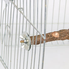 Load image into Gallery viewer, Natural Wood Pet Parrot Raw Wood Fork Branch Perches Stand Rack Mouth Grinding Claw Grinding Stick For Birds Squirrel Small Pet Supplies
