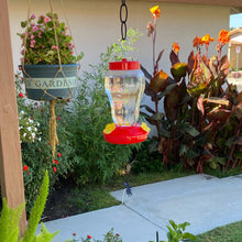 Load image into Gallery viewer, 480ml Plastics Bird Water Feeder Bottle Hanging Hummingbird Feeder Garden Outdoor Plastic Flower Iron Hook Pet Bird Supplies
