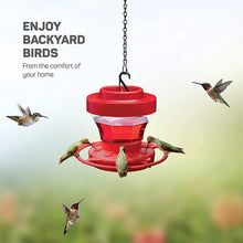 Load image into Gallery viewer, Plastics Hanging Bird Hummingbird Feeders For Outdoors Bee Proof Humming Bird Feeder Outdoor Container Pet Bird Supplies
