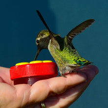 Load image into Gallery viewer, Flower Hummingbird Ring Feeders For Outdoors Bird Feeders Garden Backyard Pet Bird Feeders Yard Bird Water Drinking Supplies
