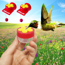 Load image into Gallery viewer, Flowers Shape Handhold Bird Hummingbird Feeder Drinker Plastic Seed And Water Outdoor Window Suction Cup Bird Feeder
