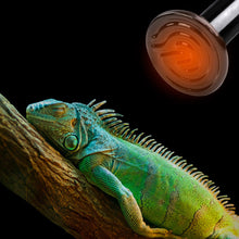 Load image into Gallery viewer, Reptile Pet No Light Far Infrared Ceramic Heating Lamp Mini Heat Emitter Light Bulb Reptile Turtle Brooder Bulb 50W 75W 100W 150W 200W
