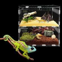 Load image into Gallery viewer, Transparent Acrylic Reptile Box for Spiders Tortoise Lizard Breeding Insect Box Vents Sliding Small Pet
