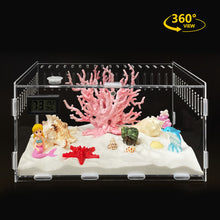 Load image into Gallery viewer, Transparent Acrylic Reptile Box for Spiders Tortoise Lizard Breeding Insect Box Vents Sliding Small Pet
