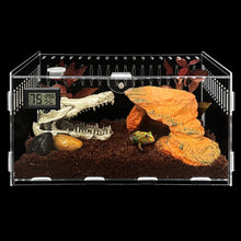 Load image into Gallery viewer, Transparent Acrylic Reptile Box for Spiders Tortoise Lizard Breeding Insect Box Vents Sliding Small Pet
