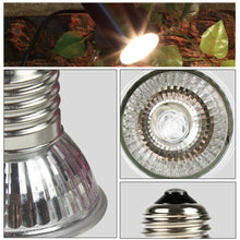Load image into Gallery viewer, Heating Lamp UVA+UVB 3.0 Reptile Lizards Lamp Bulb Turtle Basking UV Light Pet Temperature Controller Tool 25/50/75W
