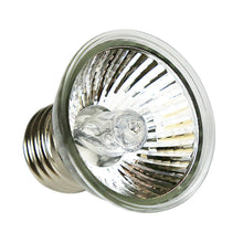 Load image into Gallery viewer, Heating Lamp UVA+UVB 3.0 Reptile Lizards Lamp Bulb Turtle Basking UV Light Pet Temperature Controller Tool 25/50/75W
