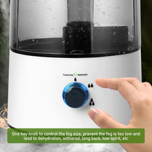 Load image into Gallery viewer, Reptile Humidifier 4L Water Tank Lizards Chameleons Snakes Terrarium Vaporizer Ultra-Silent Mist Maker with Flexible Hose
