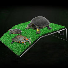 Load image into Gallery viewer, Turtle Platform Float Decoration Aquarium For Small Reptile Suction Cup Drying Easy Install Simulated Lawn Slope
