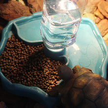 Load image into Gallery viewer, Reptile Feeder 2 in 1 Automatic Water Food Feeding Plate Turtle Dispenser Pet Water Feeder Double Container Pet Supplies
