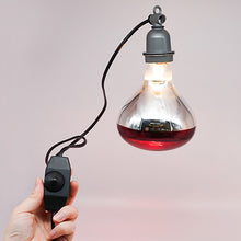 Load image into Gallery viewer, E27 Pet Heating Lamp Bracket with Switch Waterproof Lamp Holder Night Reptile Ceramic Insulation Lamp Pet Hair Dryer Lamp Holder

