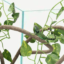 Load image into Gallery viewer, Artificial Flexible Reptile Vines Rattan Chameleon Lizard Terrarium Branches Bendable Jungle Reptile Pet Habitat Decoration
