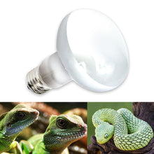 Load image into Gallery viewer, Reptile Pet Heating Lamp Full Spectrum Sunlight Basking Ultraviolet Lamp UVA Heater Bulb Aquarium Temperature Controller 220V
