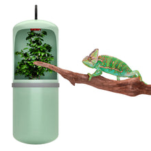 Load image into Gallery viewer, Automatic Water Drinking Reptile Drinking Water Fountain Lizard Chameleon Feeding Dispenser Terrarium Amphibian
