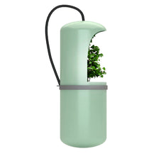 Load image into Gallery viewer, Automatic Water Drinking Reptile Drinking Water Fountain Lizard Chameleon Feeding Dispenser Terrarium Amphibian
