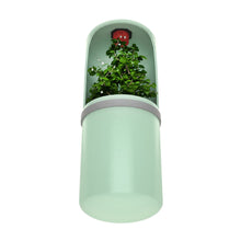 Load image into Gallery viewer, Automatic Water Drinking Reptile Drinking Water Fountain Lizard Chameleon Feeding Dispenser Terrarium Amphibian
