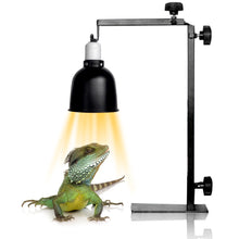 Load image into Gallery viewer, Reptile Lamp Stand Adjustable Telescopic Metal Floor Lamp Bracket for Succulent Lizard Tortoise Turtle Heating Light Holder

